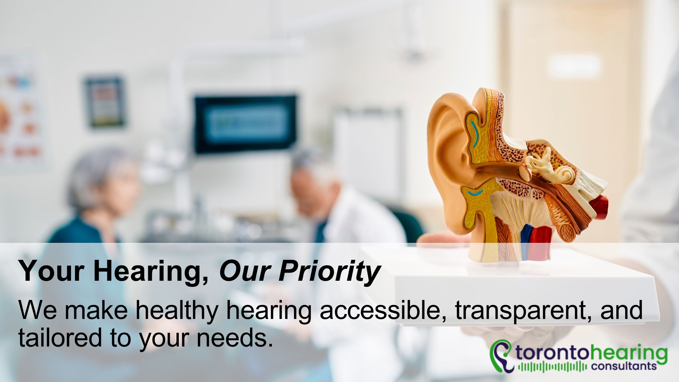 Detailed model of the human ear displayed in a Toronto Hearing Consultants clinic, emphasizing personalized and accessible hearing care in Ontario.
